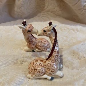 Adorable Giraffe Salt&Pepper Shaker Set